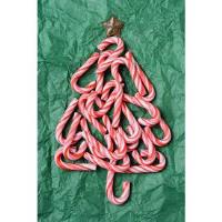 Winter Wonderland Trees - Final Registration Due by Noon