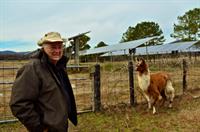 Local Farmer with his 50 kW Solar and Alapacas