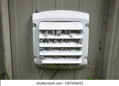 Gallery Image dirty-dryer-vent-close-260nw-1507696415.jpg