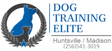 Dog Training Elite Huntsville