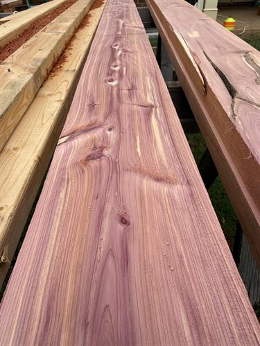 We love Eastern Red Cedar wood!!!!!  (And bugs hate it!)