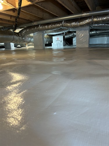 Gallery Image 1767A1E3-2E7E-49D3-9AD4-B229C8E7F976.JPG