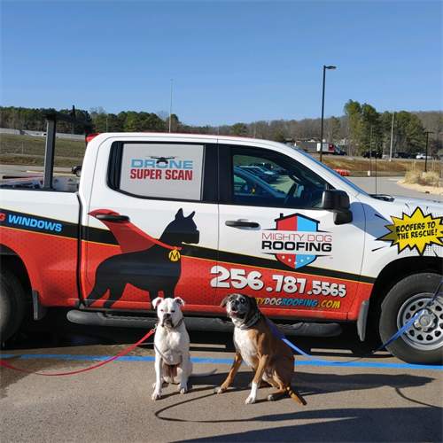 Mighty Dogs at Toyota Field