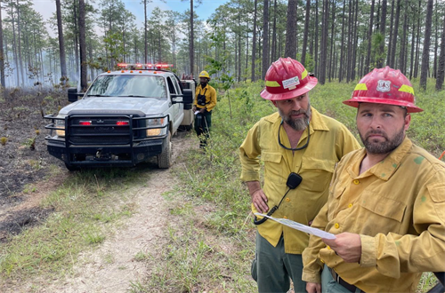 TNC fire crew partnering with the National Forest fire crew for prescribed burns TNC fire crew partnering with the National Forest fire crew for prescribed burns