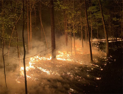 Controlled prescribed burn at night Controlled prescribed burn at night