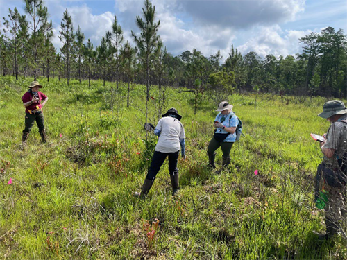 Researchers studying plant genetics Researchers studying plant genetics