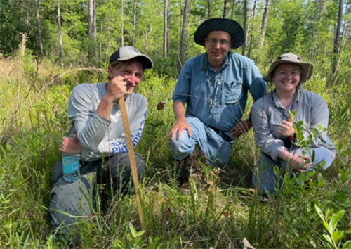 Researchers studying plant genetics Researchers studying plant genetics