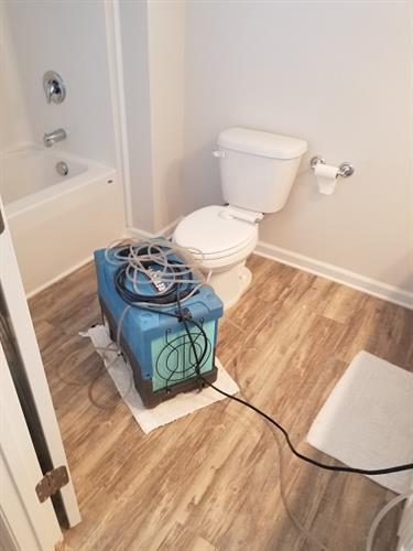 Drying water damage from an overflowing toilet in Cliff's Cove. Drying water damage from an overflowing toilet in Cliff's Cove.