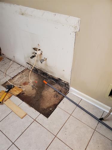 Mold and water damage in this Madison laundry room. Mold and water damage in this Madison laundry room.