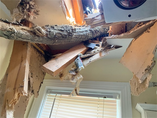 Storm and Water damage in this Madison home. Storm and Water damage in this Madison home.