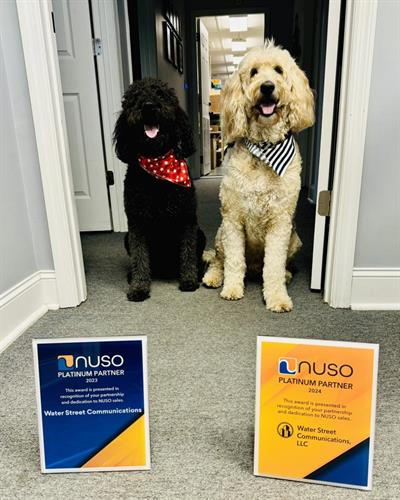 The Dogs of Water Street Dolly & Hank The Dogs of Water Street Dolly & Hank