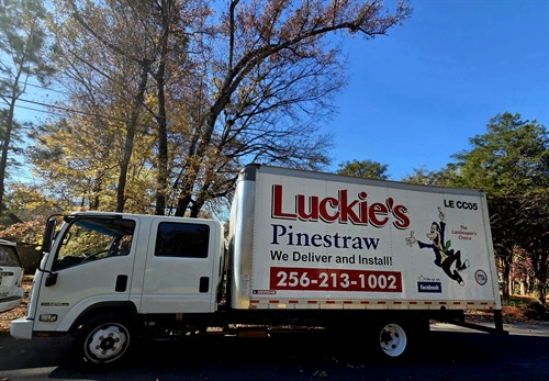 Luckie's Pinestraw in action ?? 