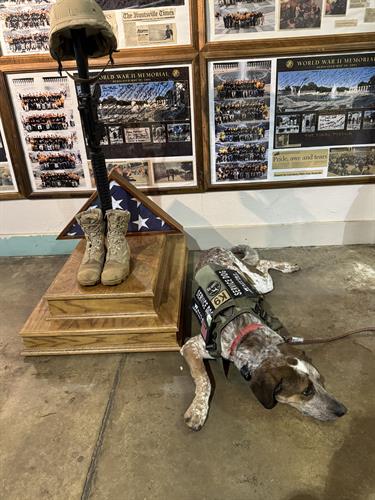 Gallery Image IMG_0921.jpg