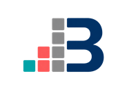 Braden Business Optimization, LLC