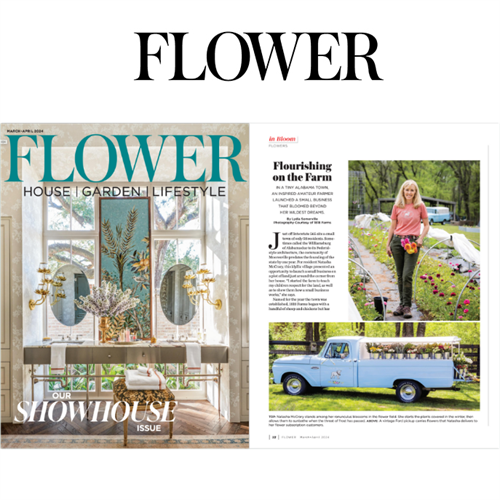 Gallery Image 2c.png