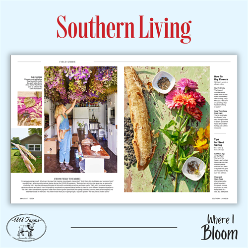Gallery Image Southern-Living-2.png