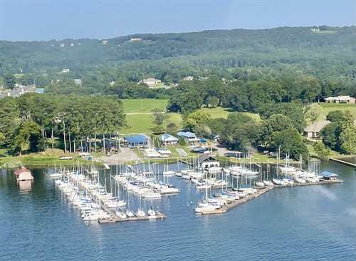 Gallery Image Ariel_summer_2024.jpg