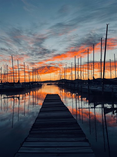 Gallery Image dock_at_sunrise.jpeg