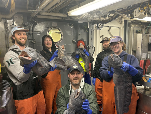 Gallery Image Trawl_survey_5.png