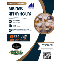 Business After Hours Networking Mixer