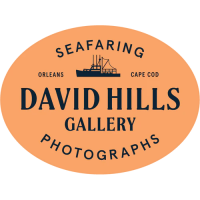Local Newspapers and the Future of Democracy | David Hills Gallery