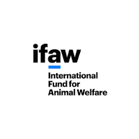 Party for a Porpoise | IFAW