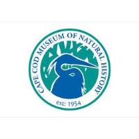 Nature Screen Presents: Mary Berry's Highland Christmas