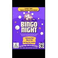 Lower Cape Figure Skating Bingo Night