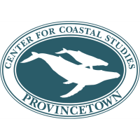 Lecture on International Whale Disentanglement