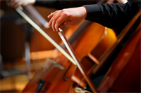 Divine Invitations: The Preludes of the Bach Cello Suites