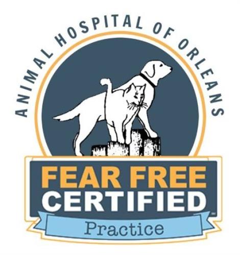 Fear Free Certified Fear Free Certified