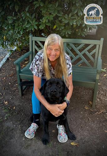 Dr. Eileen Mulcahy, DVM Associate Veterinarian Dr. Eileen Mulcahy, DVM Associate Veterinarian