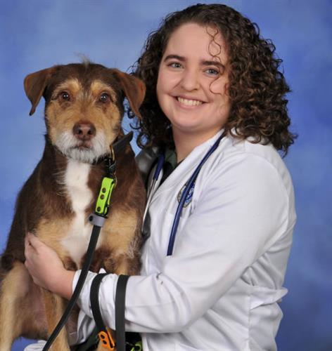 Dr. Lindsey Cloutier, DVM Associate Veterinarian Dr. Lindsey Cloutier, DVM Associate Veterinarian