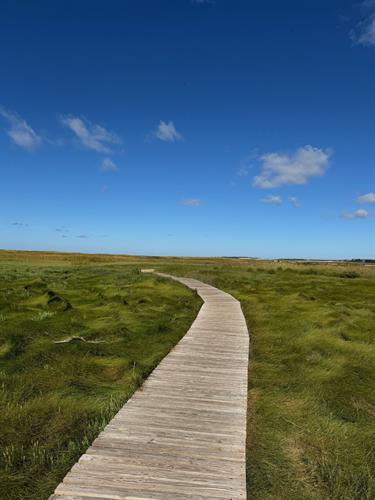 Gallery Image Wellfleet_Bay_Boardwalk(1).jpg