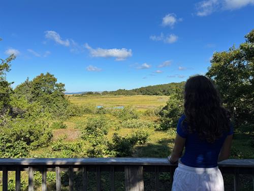 Gallery Image Wellfleet_Bay_Vista.jpg Gallery Image Wellfleet_Bay_Vista.jpg