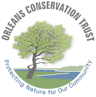 John Kenrick Woods Walk