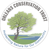 "Restoring Rivers and Wetlands for People and Nature" with Beth Lambert