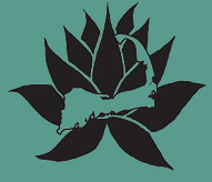 Black Lotus Designs Cape Cod