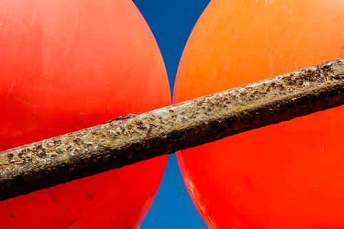 Gallery Image david-hills-gallery-Jacob_and_Joshua.jpg