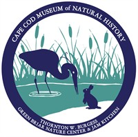 Invasive Insects and how to ID Them