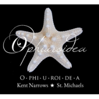 Ophiuroidea "The O" HOT Summer Sale!