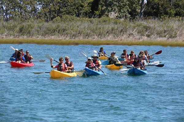 Kayaking Adult Groups