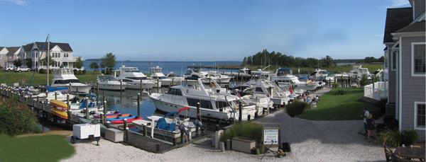 Tilghman Island Marina overlooking the Beautiful Chesapeake Bay
