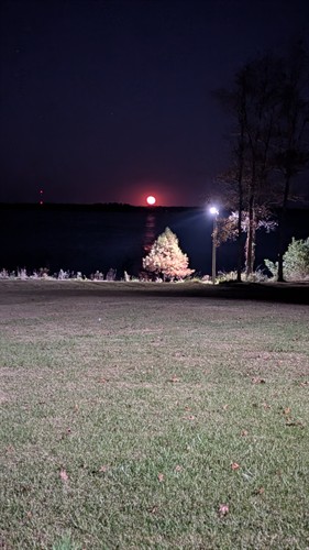 Moonlight over the lawn
