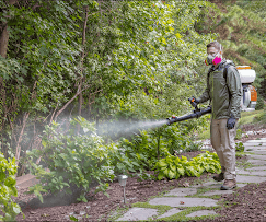 Mosquito Control New Bern