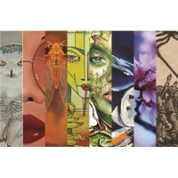 Main Gallery: ROY G BIV 2026