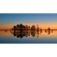 Main Gallery: Coastal Photo Club Exhibition