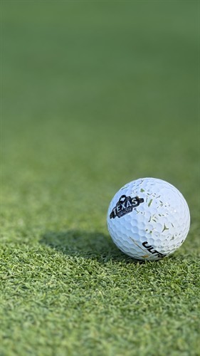 Love to golf? So do we! Invite us to your next golf scramble!