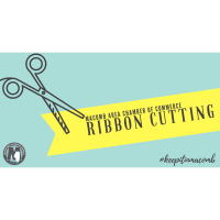 Ribbon Cutting for All in Vinyl & Boutique
