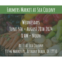 Farmers' Market at Sea Colony